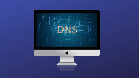 What is DNS?