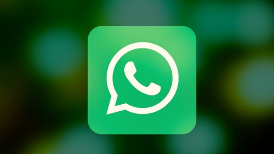 WhatsApp: is the profile picture really dangerous for your privacy?
