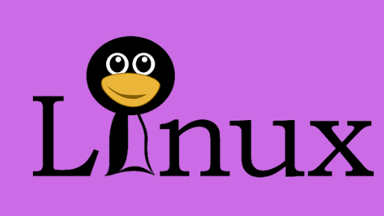 How to force shutdown of Linux