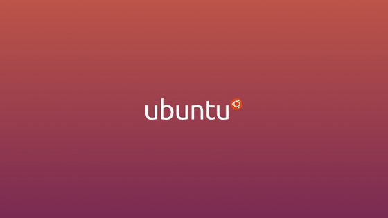 How to install apps on Ubuntu without the Internet