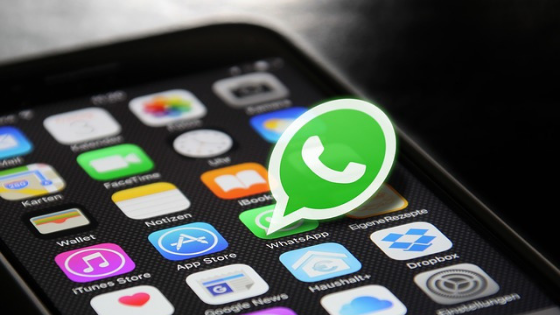 How to recover lost audio in WhatsApp in a practical way