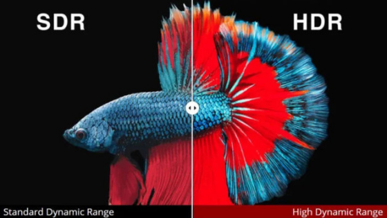 What is the difference between Dolby Vision, HDR10, HDR10 +, HLG and Advanced HDR?