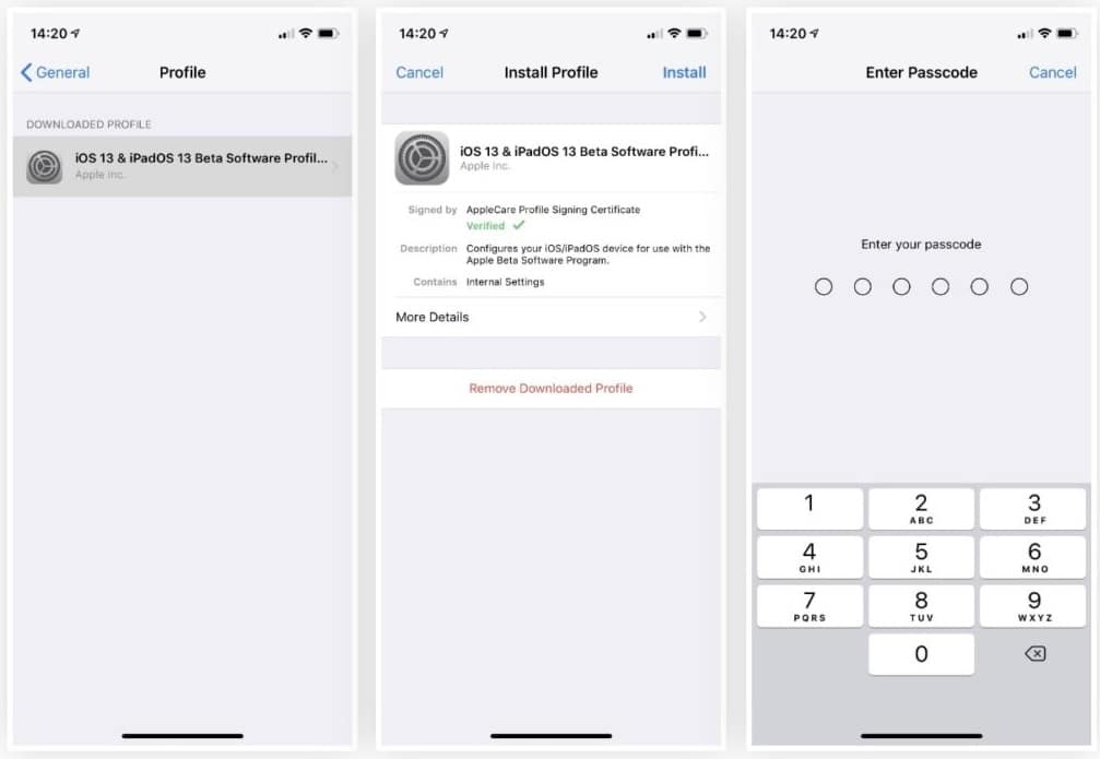 Install iOS 13.3 Beta without a developer account 3