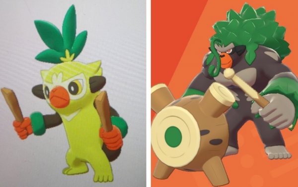 Grookey evaluation