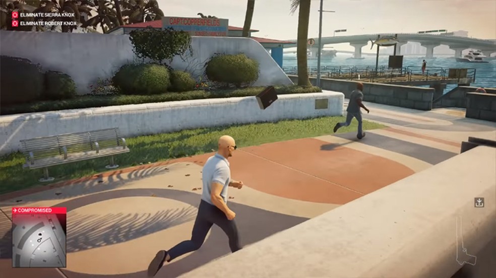 Hitman 2's stalking bug bug turned out to be an official weapon in the game