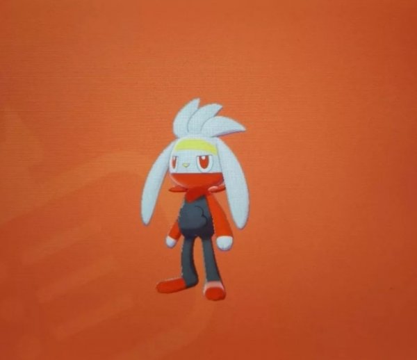 scorbunny evaluation