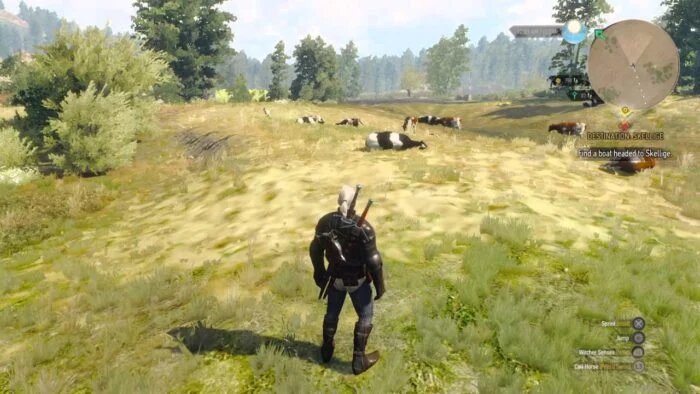 Cows The Witcher 3