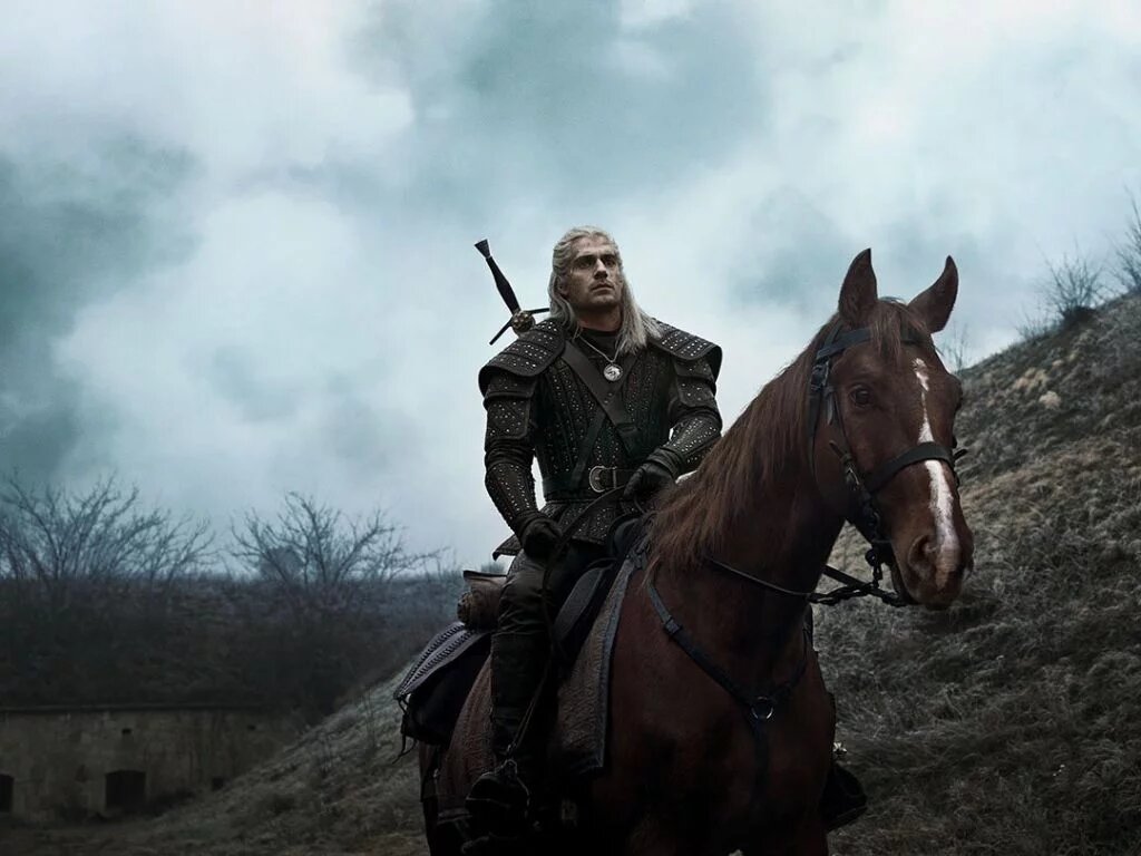 the witcher