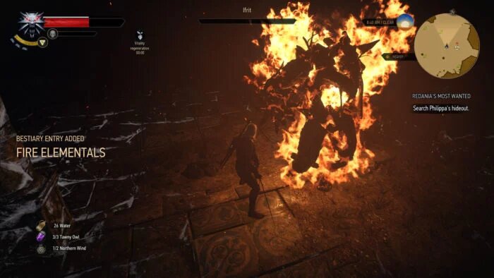 the witcher 3 ifrit fight