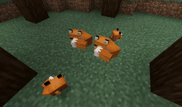 How to Tame and breed Foxes in Minecraft 1.14 - Teknologya