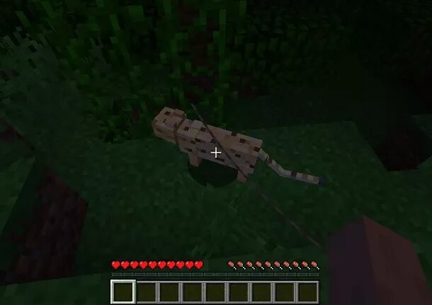 How to tame a cat in minecraft 3