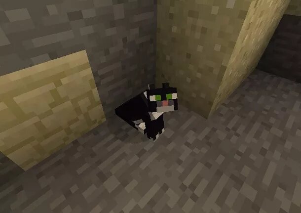 How to tame a cat in minecraft 4