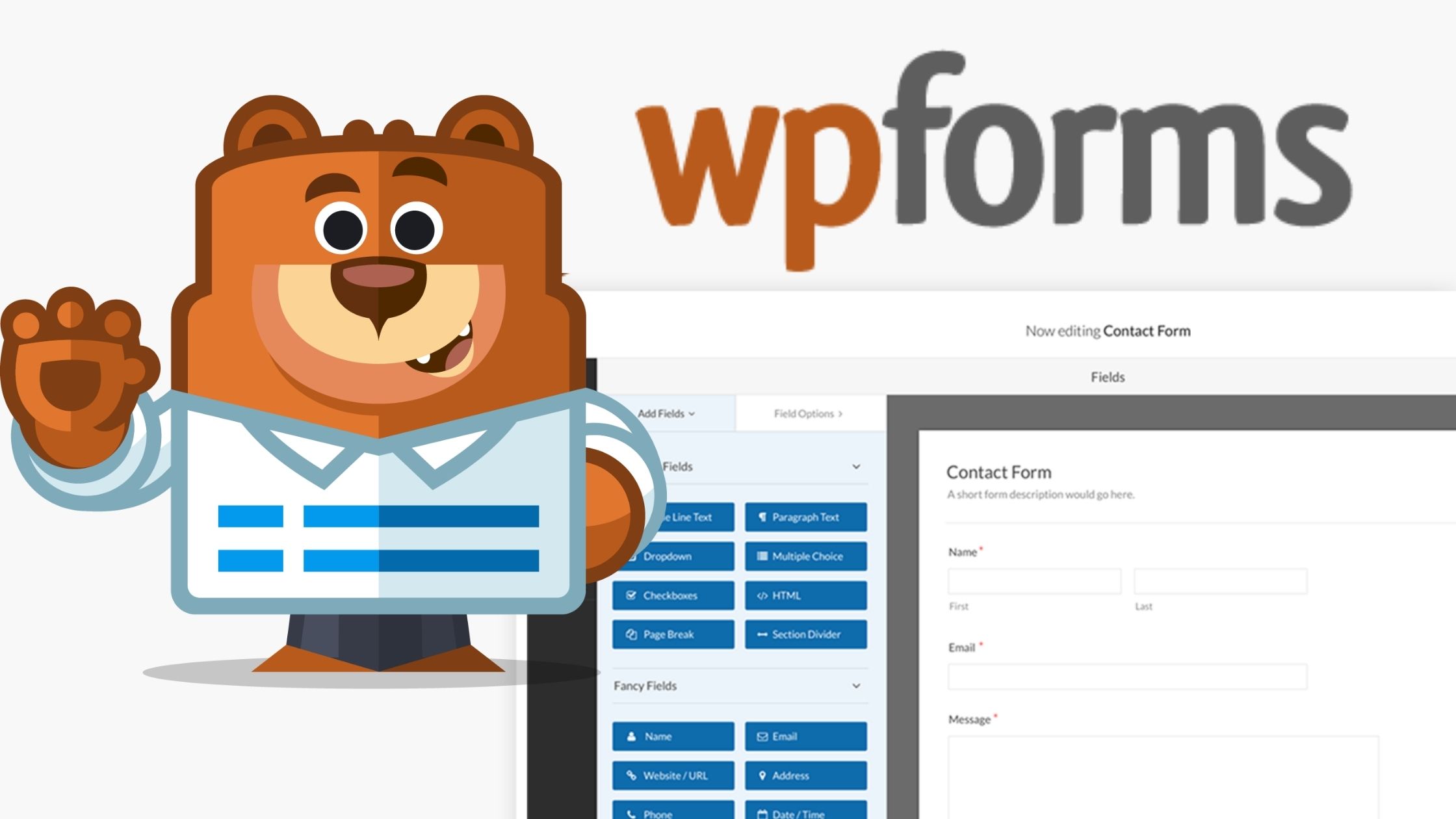 5 Reasons Which Make WPForms As The Best