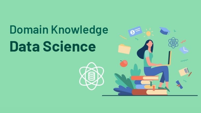 The Domain Knowledge in Data Science for Business